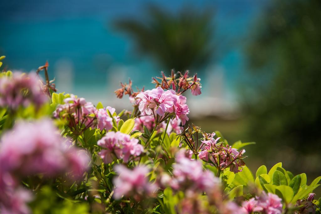 Krouzeri Beach Apartments Nisaki (Corfu) Quarto foto