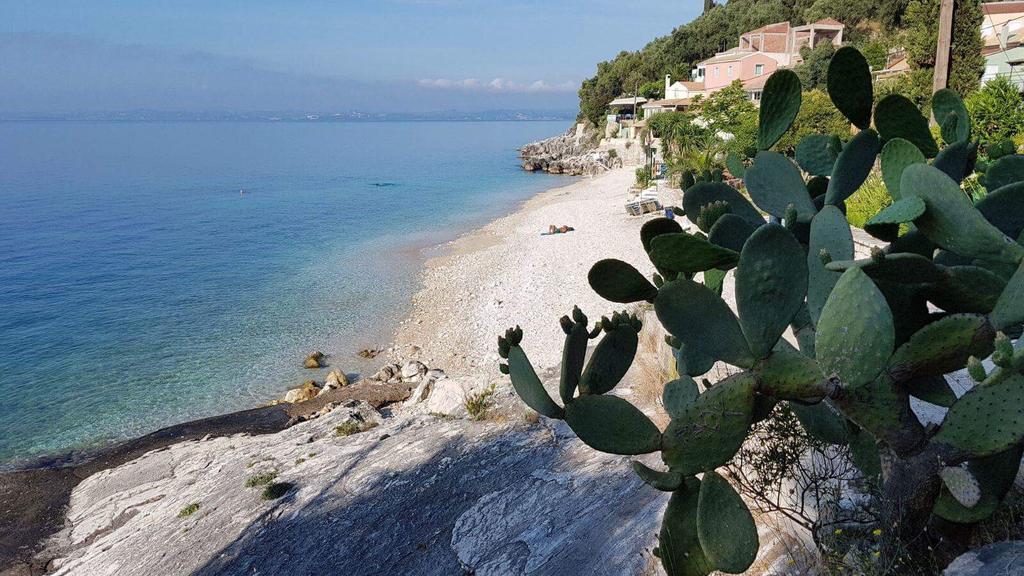 Krouzeri Beach Apartments Nisaki (Corfu) Exterior foto